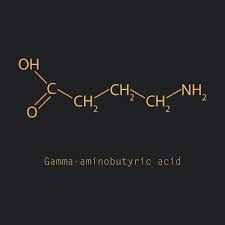 Neuroplasticity and GABA