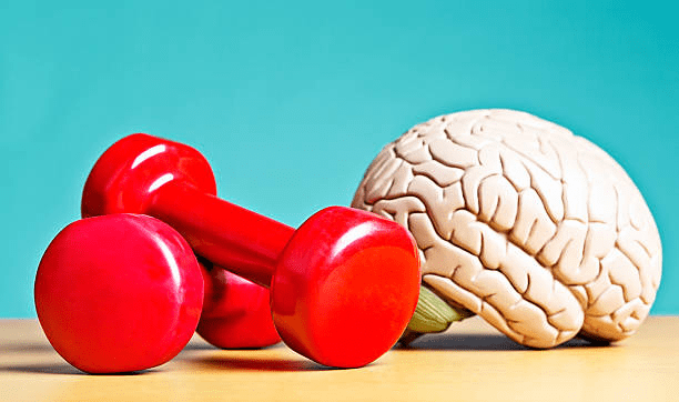 How does Exercise Impact our&nbsp;Brain