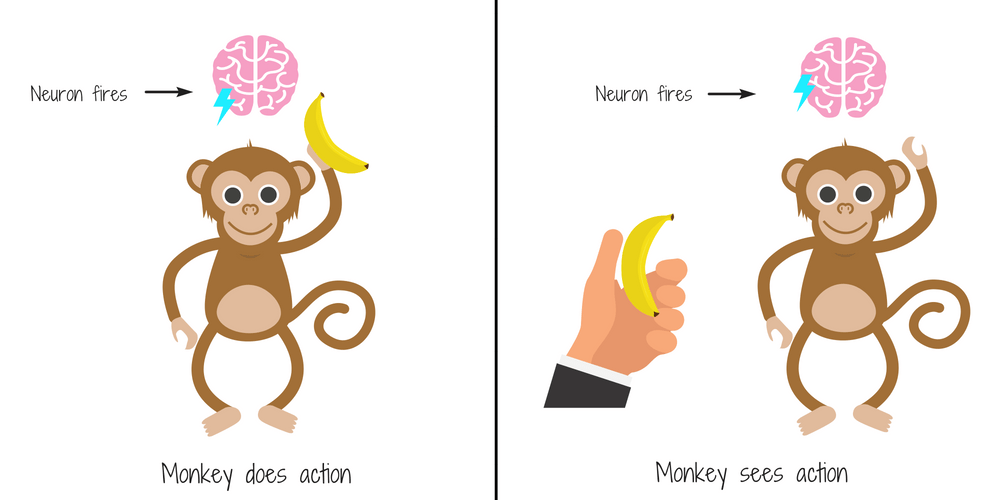 Mirror Neurons