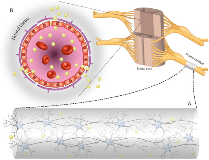 Nanotech in Neuroscience
