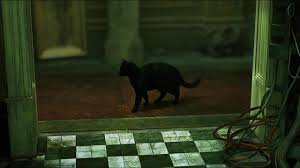 History of Deja Vu and Our Best Theory&nbsp;Yet